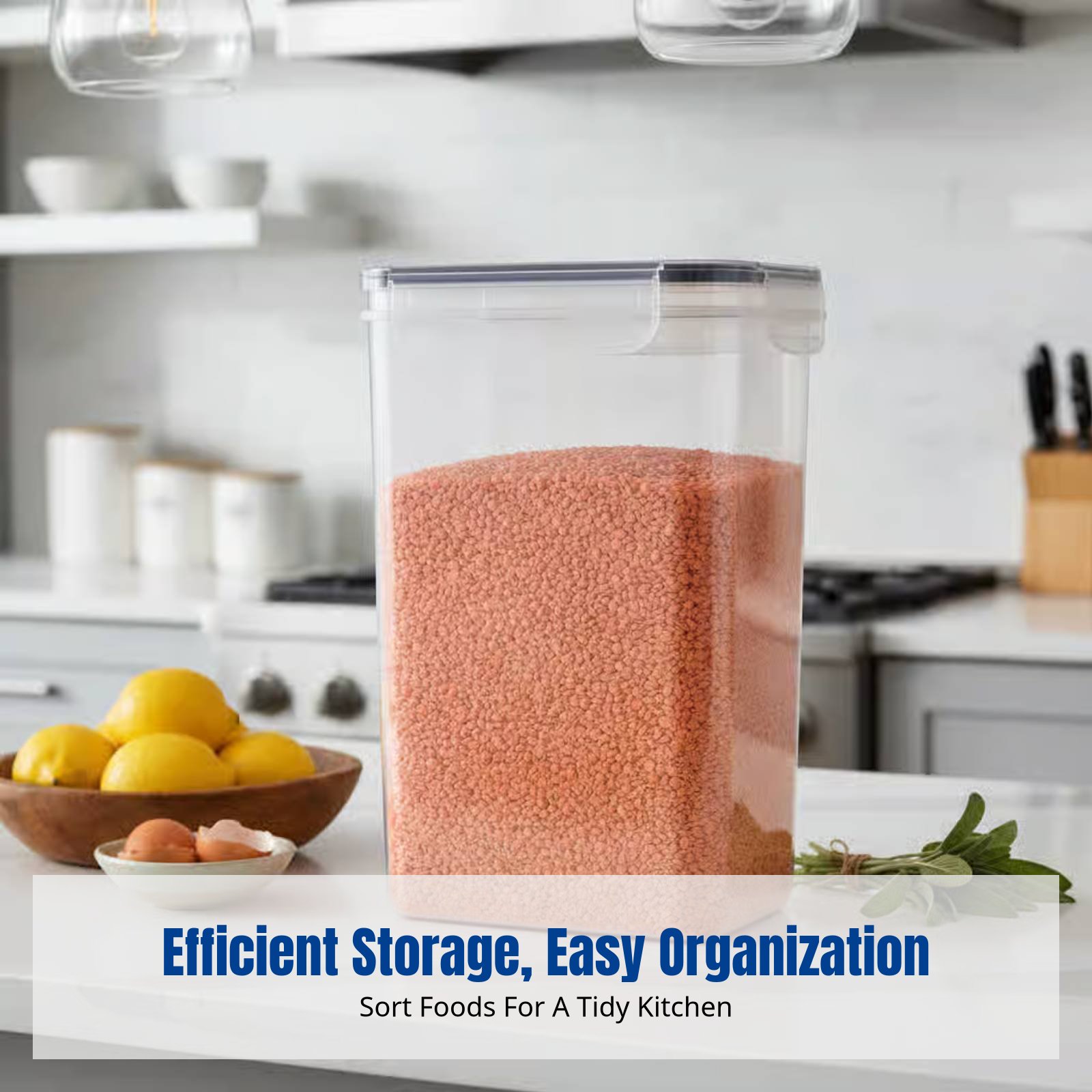 Airtight Food Storage Containe - đánh giá và giá Food Storage Large