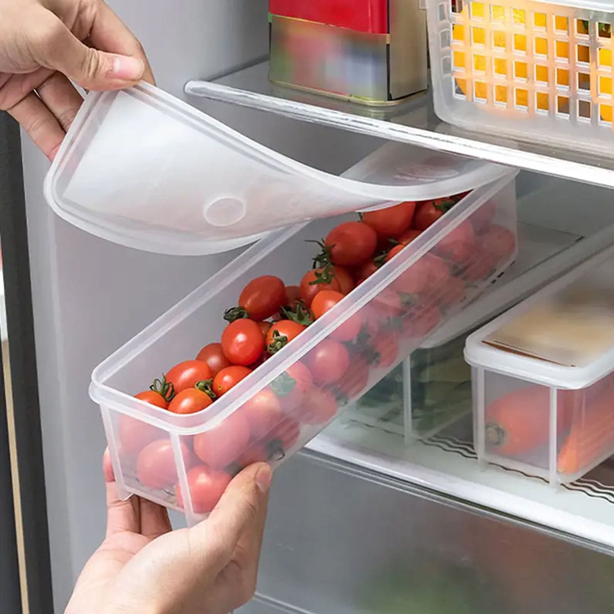 1 Plastic Transparent Storage  - đánh giá và giá Food Storage Order
