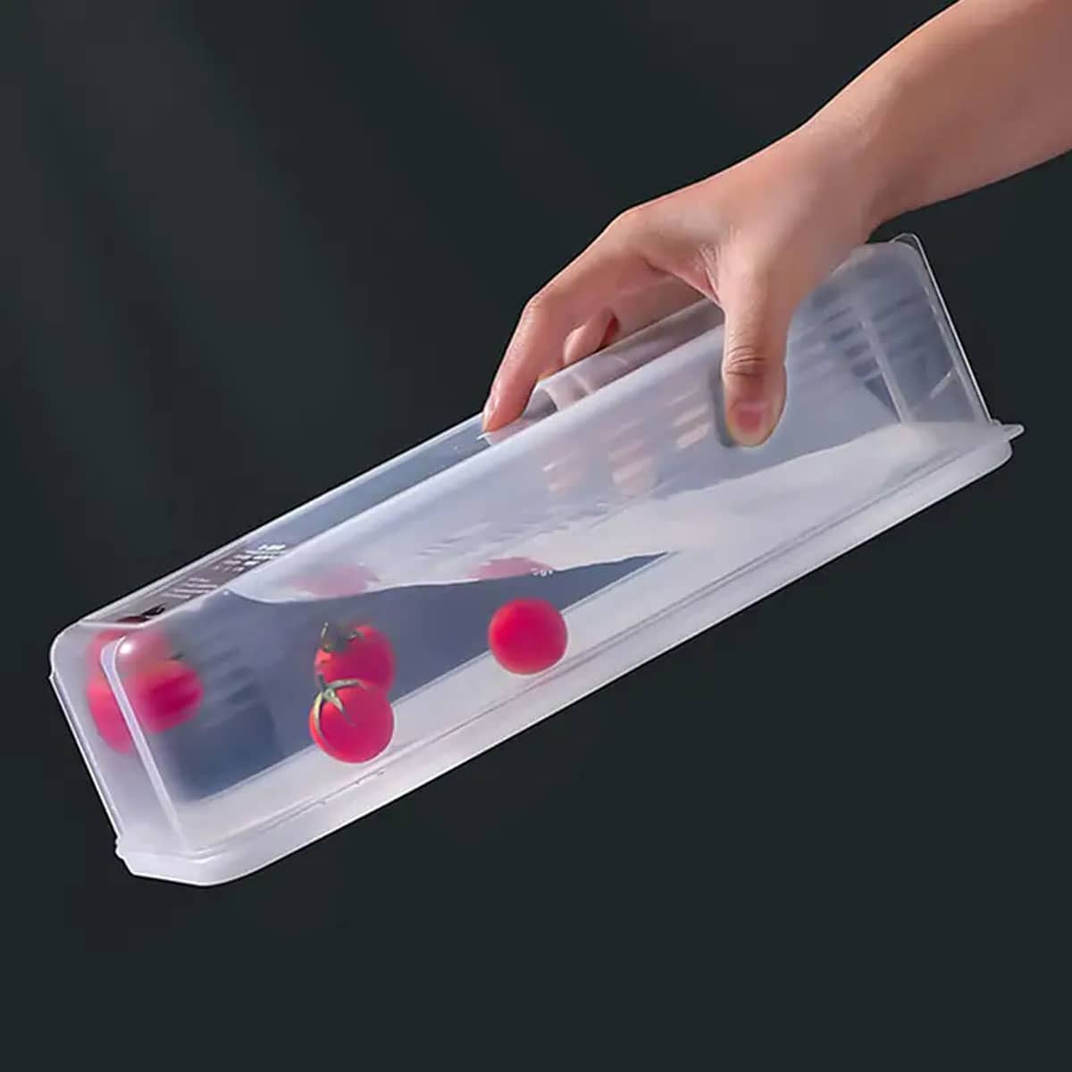 1 Plastic Transparent Storage  - đánh giá và giá Food Storage Order